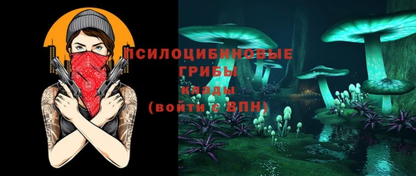 мяу мяу мука Пересвет