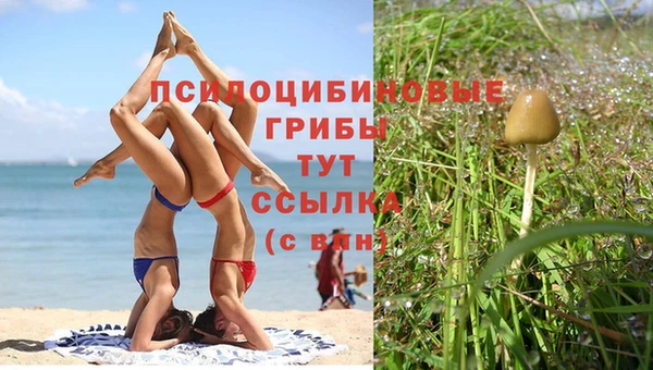 прущие крисы Алексин