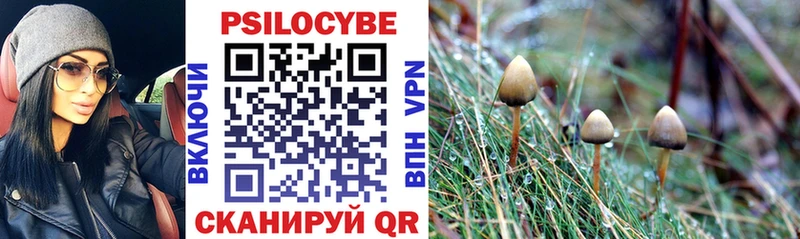 OMG ССЫЛКА  Югорск  Псилоцибиновые грибы Psilocybine cubensis 